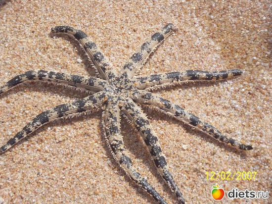 14 ����: �������, �� �� ����, �� �� ���������� ��� ���...