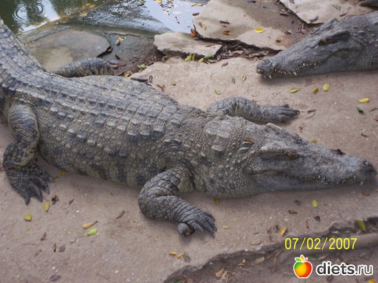 ���������� �����, ������: �������, �� �� ����, �� �� ���������� ��� ���...