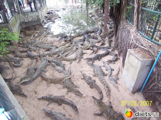 23 ����: �������, �� �� ����, �� �� ���������� ��� ���...