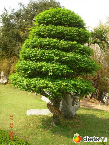 25 ����: �������, �� �� ����, �� �� ���������� ��� ���...