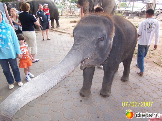 26 ����: �������, �� �� ����, �� �� ���������� ��� ���...