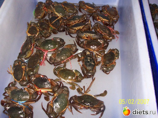 27 ����: �������, �� �� ����, �� �� ���������� ��� ���...