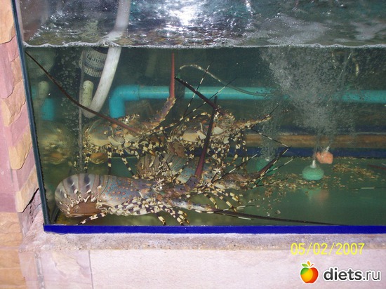 29 ����: �������, �� �� ����, �� �� ���������� ��� ���...