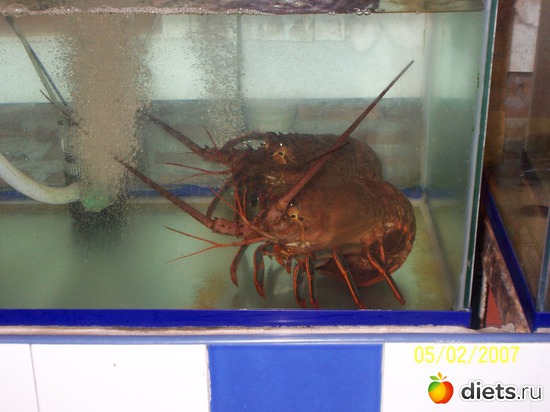 30 ����: �������, �� �� ����, �� �� ���������� ��� ���...