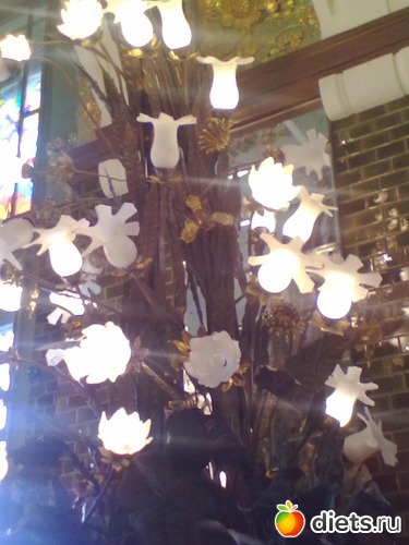 9 ����: ����������� ��������!