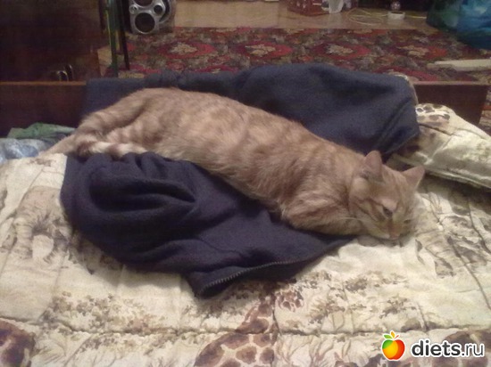 2 ����: ��� ��������