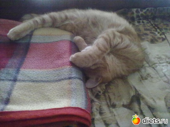 3 ����: ��� ��������