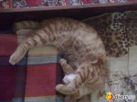 4 ����: ��� ��������