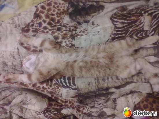 5 фото: Мой домашний