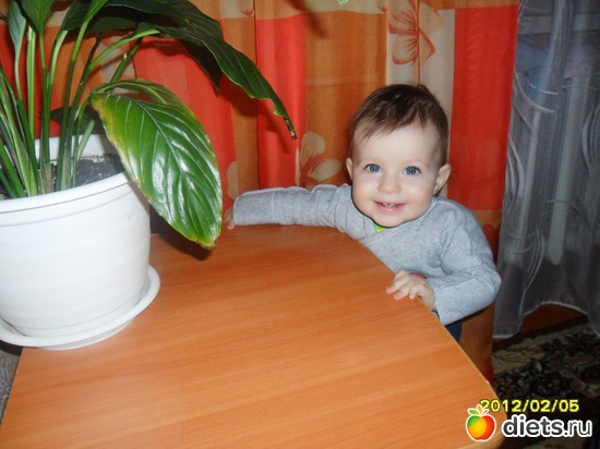 26 фото: моя семья