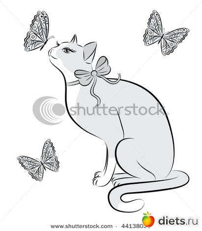 ������ ��������