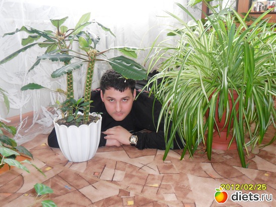 49 ����: ��� �����