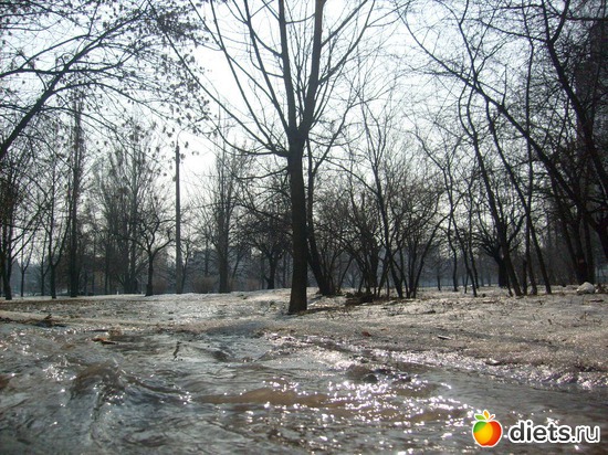 "Уж тает снег, бегут ручьи..."