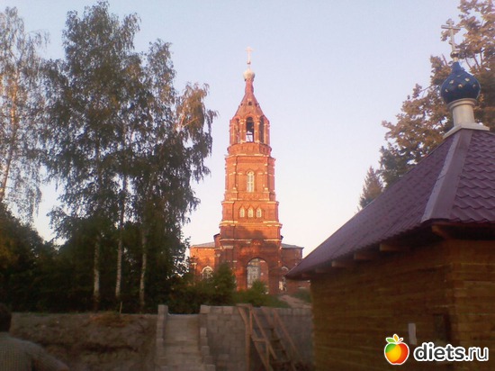 7 фото: Любимые животные + разное, но красивое.