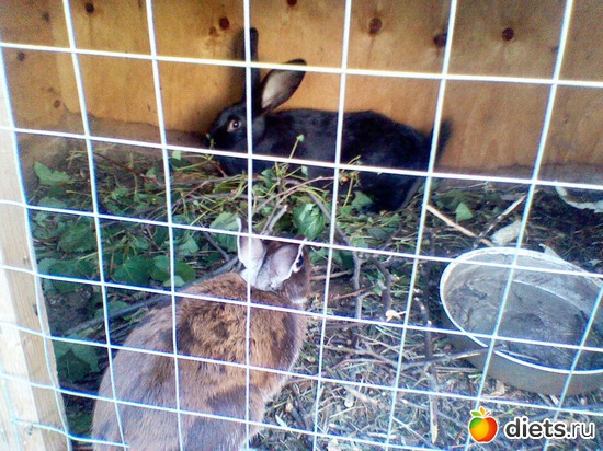 10 ����: ������� �������� + ������, �� ��������.