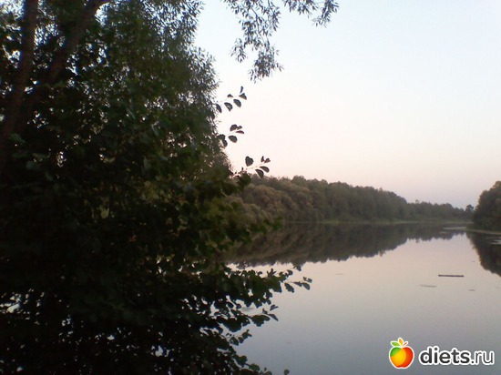 12 фото: Любимые животные + разное, но красивое.