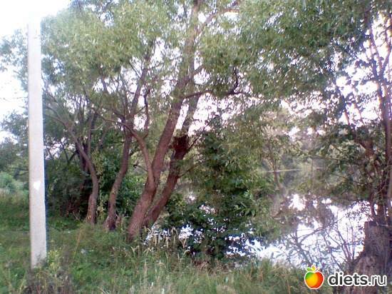 13 ����: ������� �������� + ������, �� ��������.