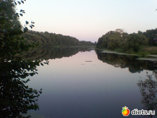 14 фото: Любимые животные + разное, но красивое.