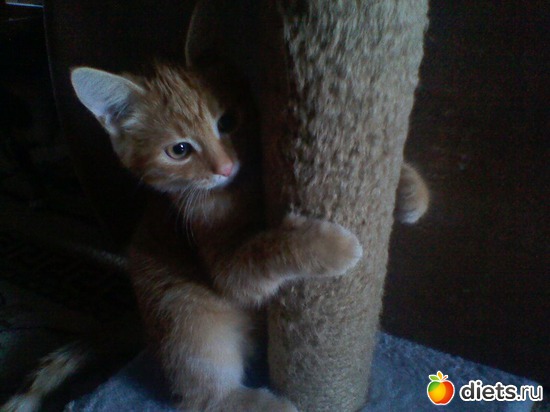 17 ����: ������� �������� + ������, �� ��������.