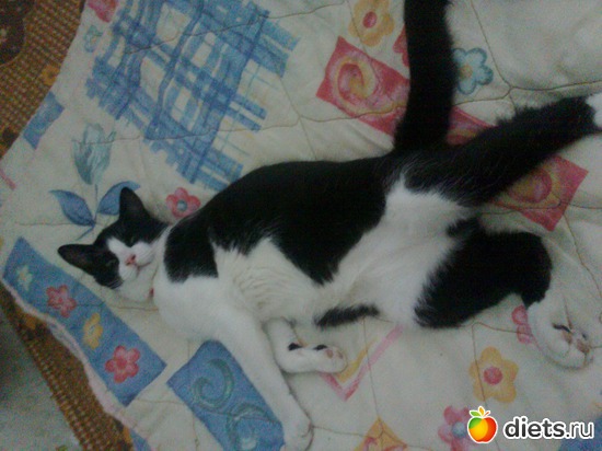 сон..., альбом: Растём! Бонифацию уже 8 месяцев.