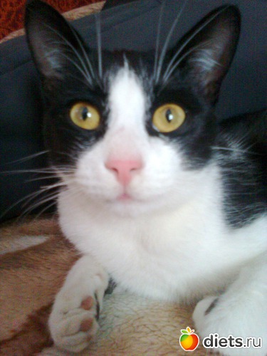 я такой красивый!, альбом: Растём! Бонифацию уже 8 месяцев.