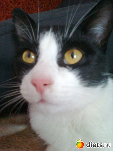 задумался..., альбом: Растём! Бонифацию уже 8 месяцев.