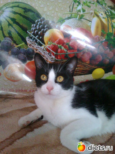 моя красотуля!, альбом: Растём! Бонифацию уже 8 месяцев.