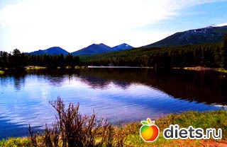 Любимые животные + разное, но красивое.