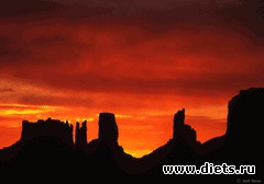 Любимые животные + разное, но красивое.