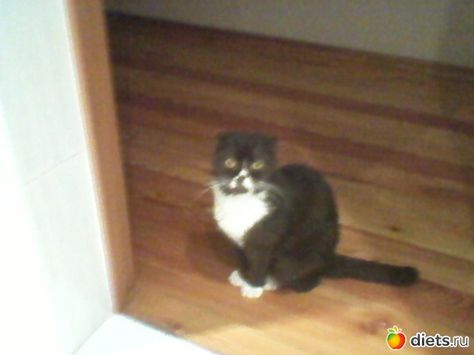 31 фото: Любимые животные + разное, но красивое.