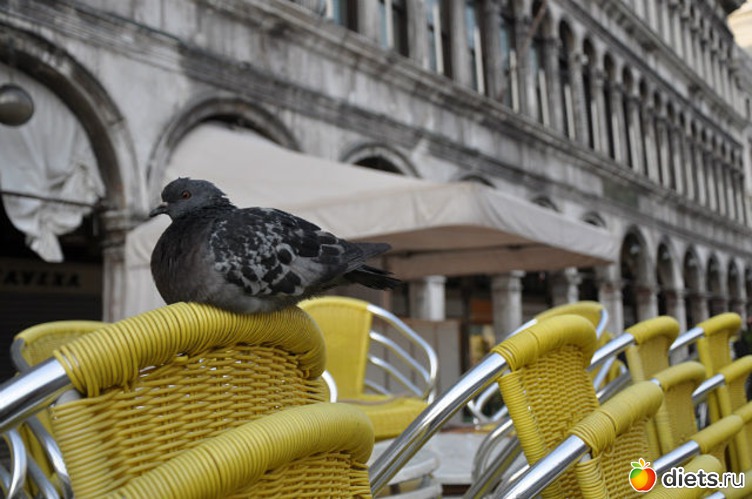 весна в Венеции