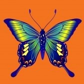 просто картинки