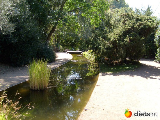 Майский пруд в ботаническом саду.