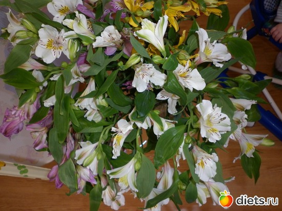 20 фото: разное