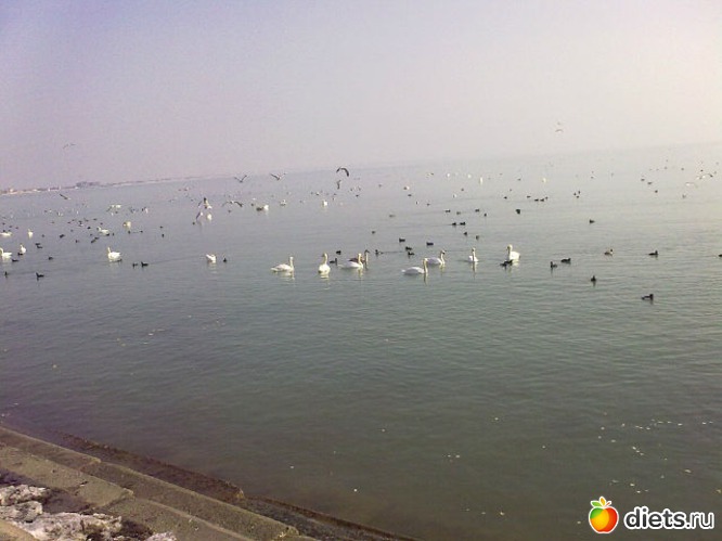 Черное море г.Евпатория