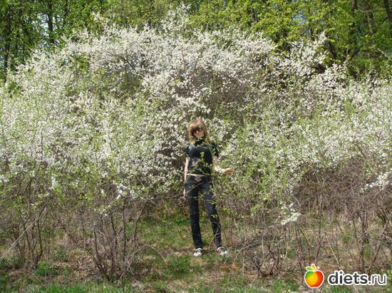 Цветы весной