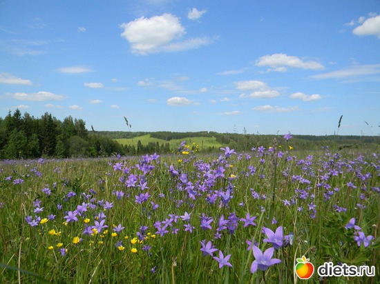 Весенние ароматы