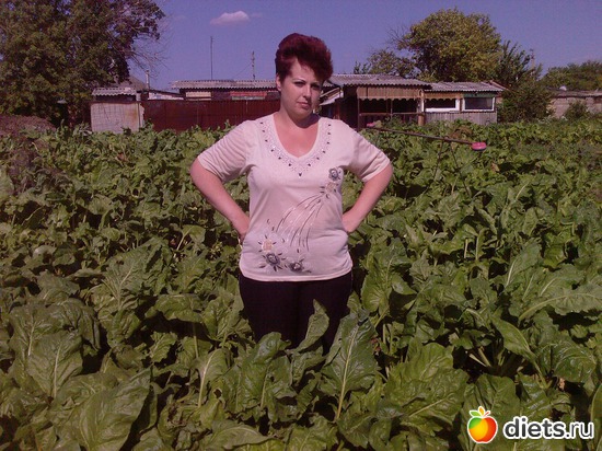 1 ����: 2009