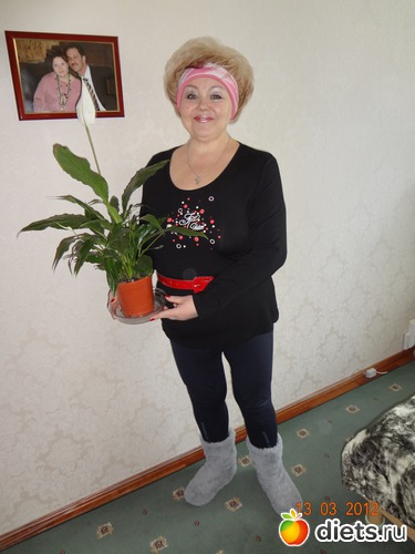 19 ����: �  ���   �  �����  55