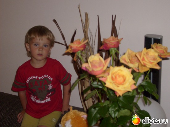 3 ����: ��� �����