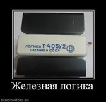 Логичный русский язык (инет)))