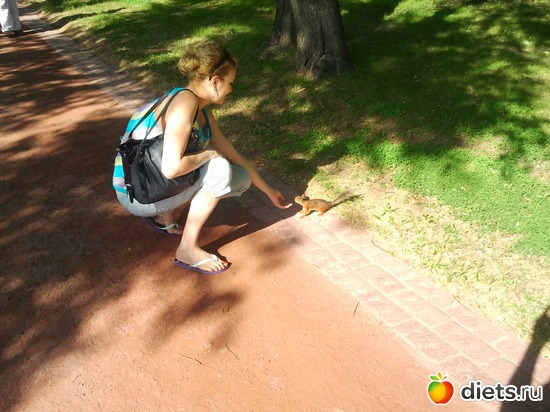 31 фото: беременность)