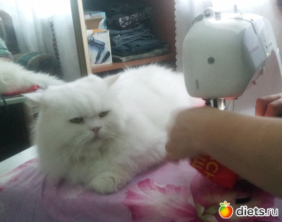 1 фото: разное