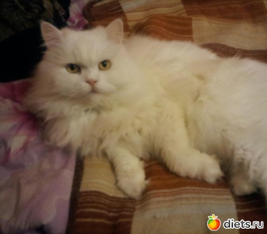 2 ����: ������