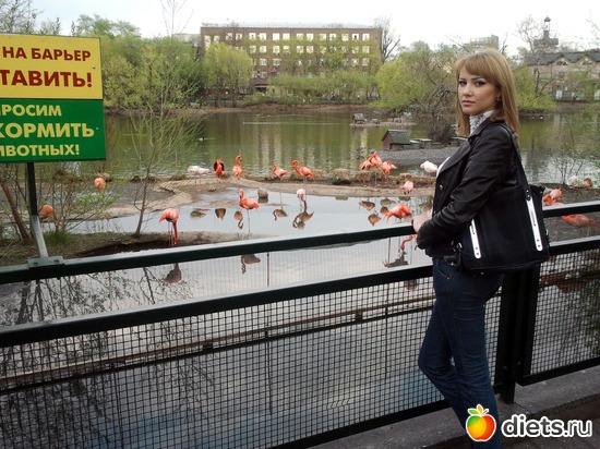 13 фото: беременность)