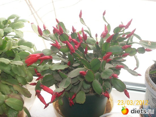 5 ����: ��������