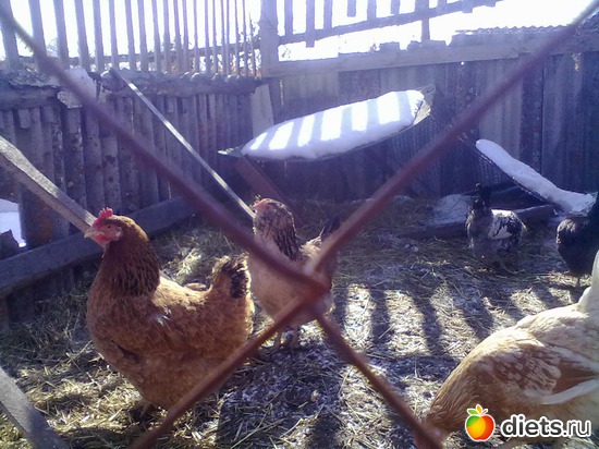 4 ����: ��� �����