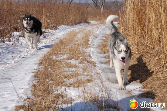 40 фото: новизна