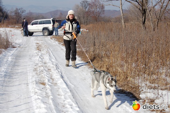 41 фото: новизна