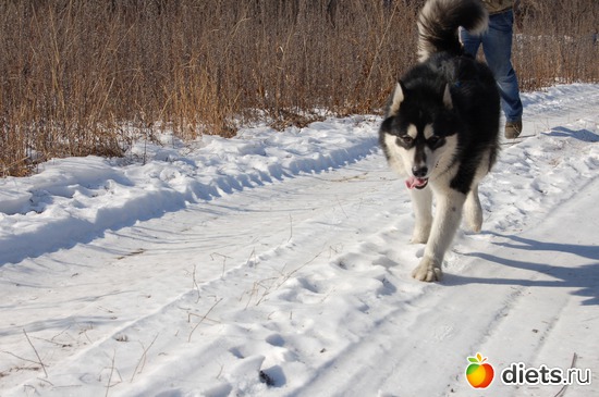 42 фото: новизна